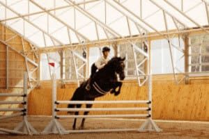 image_industries_agriculture-equestrian-oc90w7ezeahrqk30hegk5ux3t5mv30eoi0xxnbrob4 industries_agriculture-equestrian